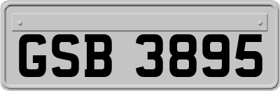 GSB3895