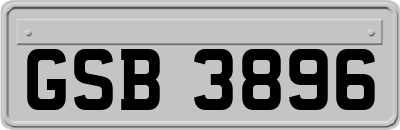 GSB3896