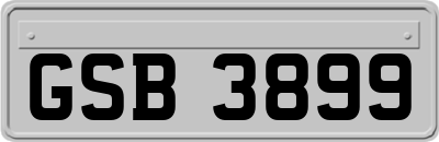 GSB3899