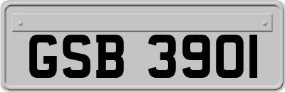 GSB3901