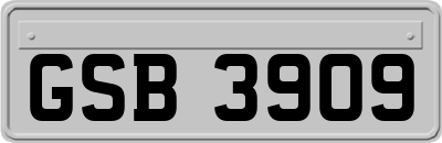 GSB3909