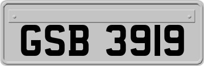 GSB3919