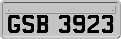 GSB3923