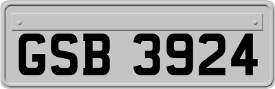 GSB3924