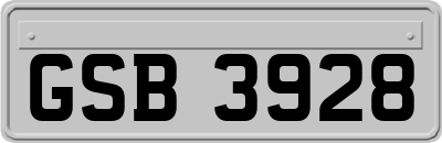 GSB3928