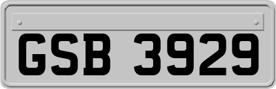 GSB3929