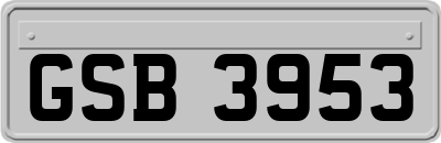 GSB3953