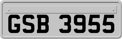 GSB3955