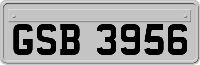 GSB3956