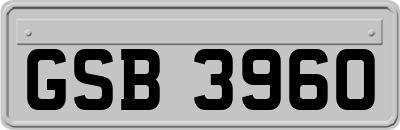 GSB3960