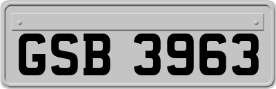 GSB3963
