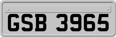 GSB3965