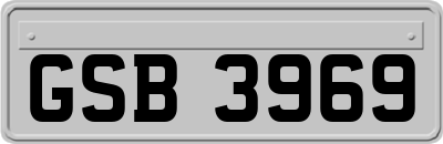 GSB3969