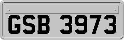GSB3973