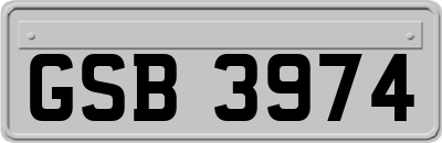 GSB3974