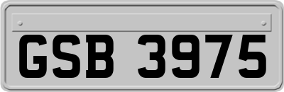 GSB3975