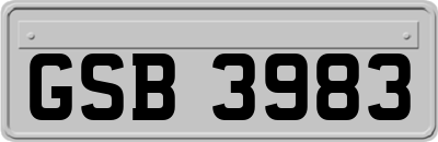 GSB3983