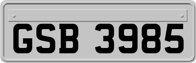 GSB3985