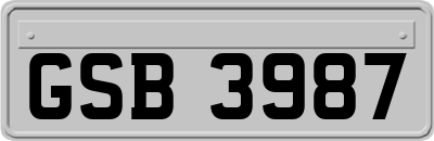 GSB3987