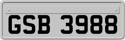 GSB3988