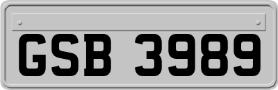 GSB3989
