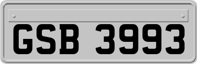 GSB3993