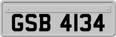 GSB4134