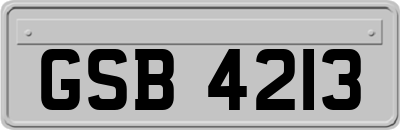 GSB4213