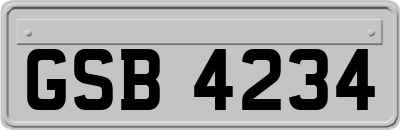 GSB4234