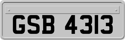 GSB4313