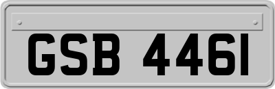 GSB4461