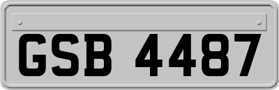 GSB4487