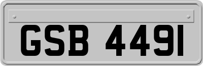 GSB4491