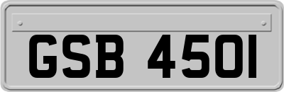 GSB4501