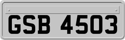 GSB4503