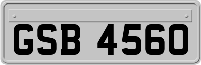 GSB4560