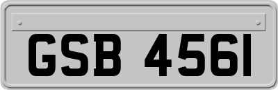 GSB4561