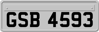 GSB4593