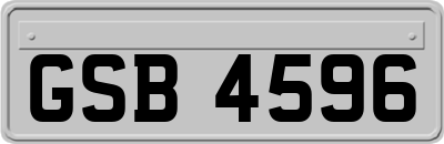 GSB4596