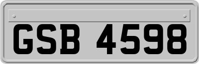 GSB4598