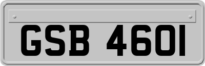 GSB4601
