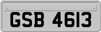 GSB4613
