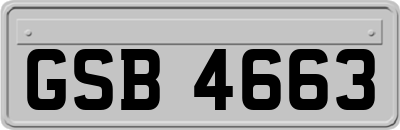 GSB4663