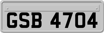 GSB4704