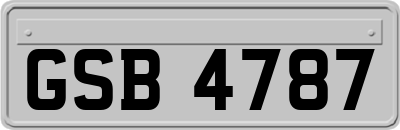 GSB4787