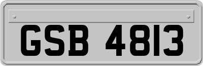 GSB4813
