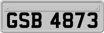 GSB4873