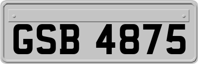 GSB4875