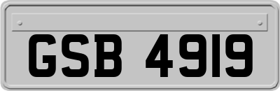 GSB4919