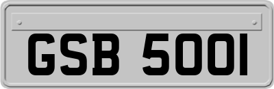 GSB5001